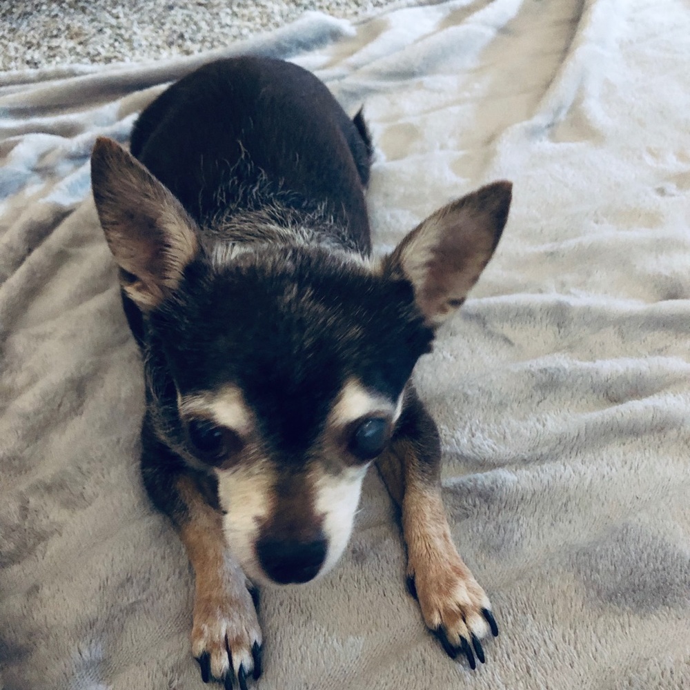 Meet your Posher, Shannon! 15% off 3 or more